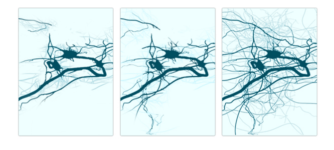 Améliorer vos fonctions exécutives