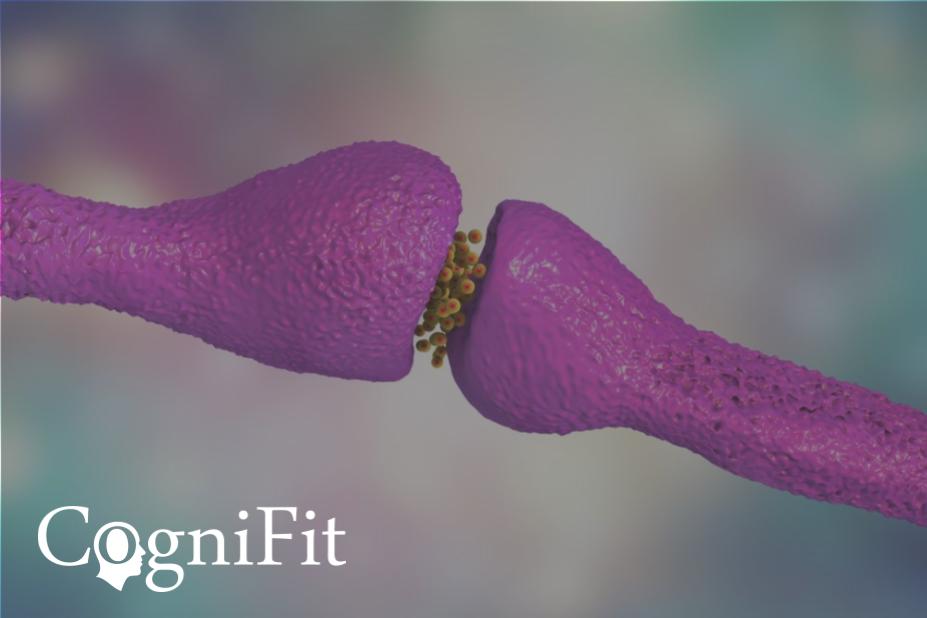 CogniFit - líder en programas de estimulación cognitiva y evaluación neuropsicológica