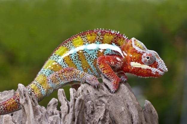 ¿cómo adaptarse al un nuevo medio?