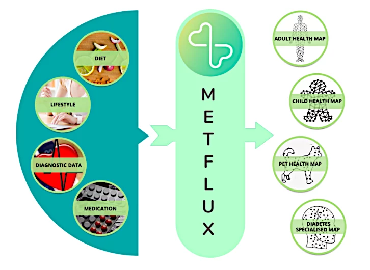 MetFlux and CogniFit